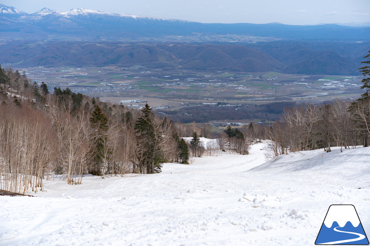 富良野スキー場｜高度感たっぷり、標高900ｍの別世界。大雪山系を望む絶景と春雪を思いっきり楽しみましょう！